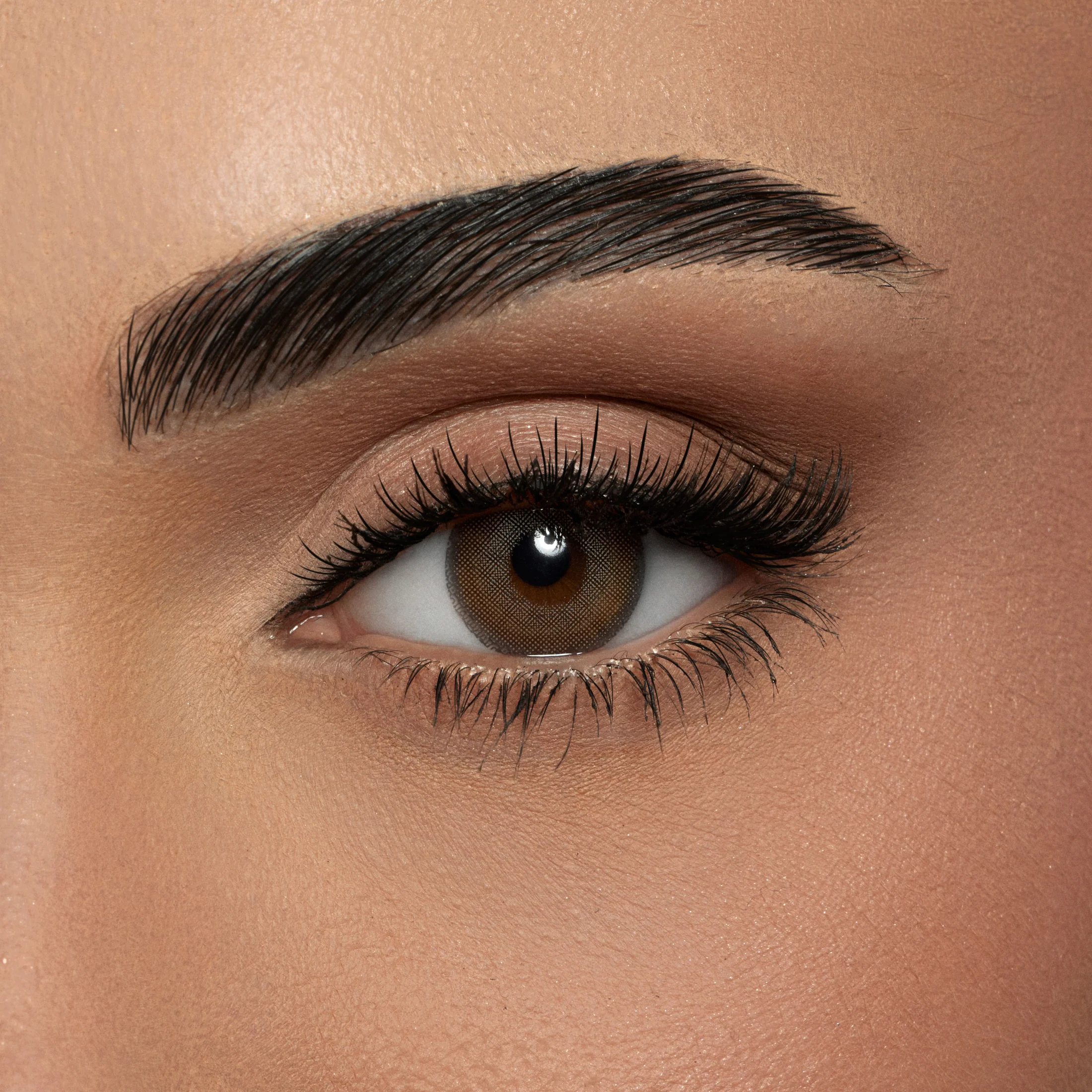 AMARA MODERN GRAY MONTHLY COLOR CONTACT LENSES – 2 PACK