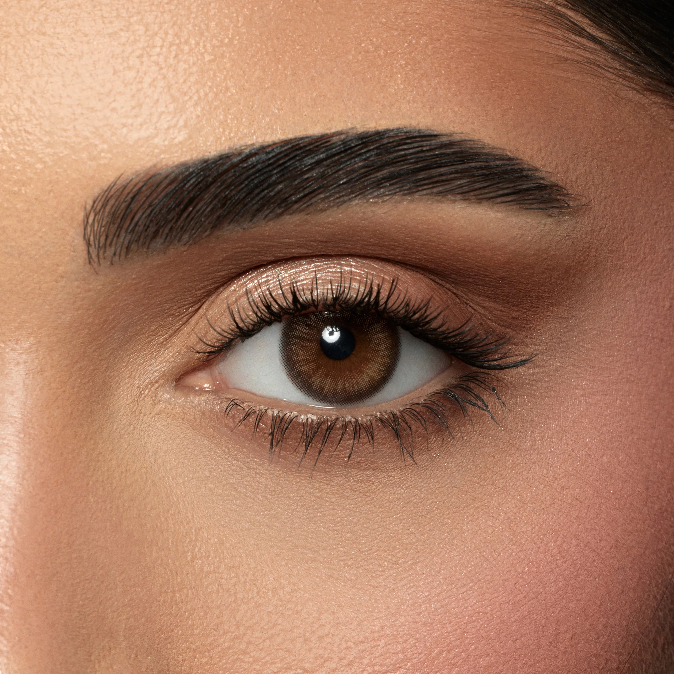 AMARA MOON STONE DAILY COLOR CONTACT LENSES – 10 PACK