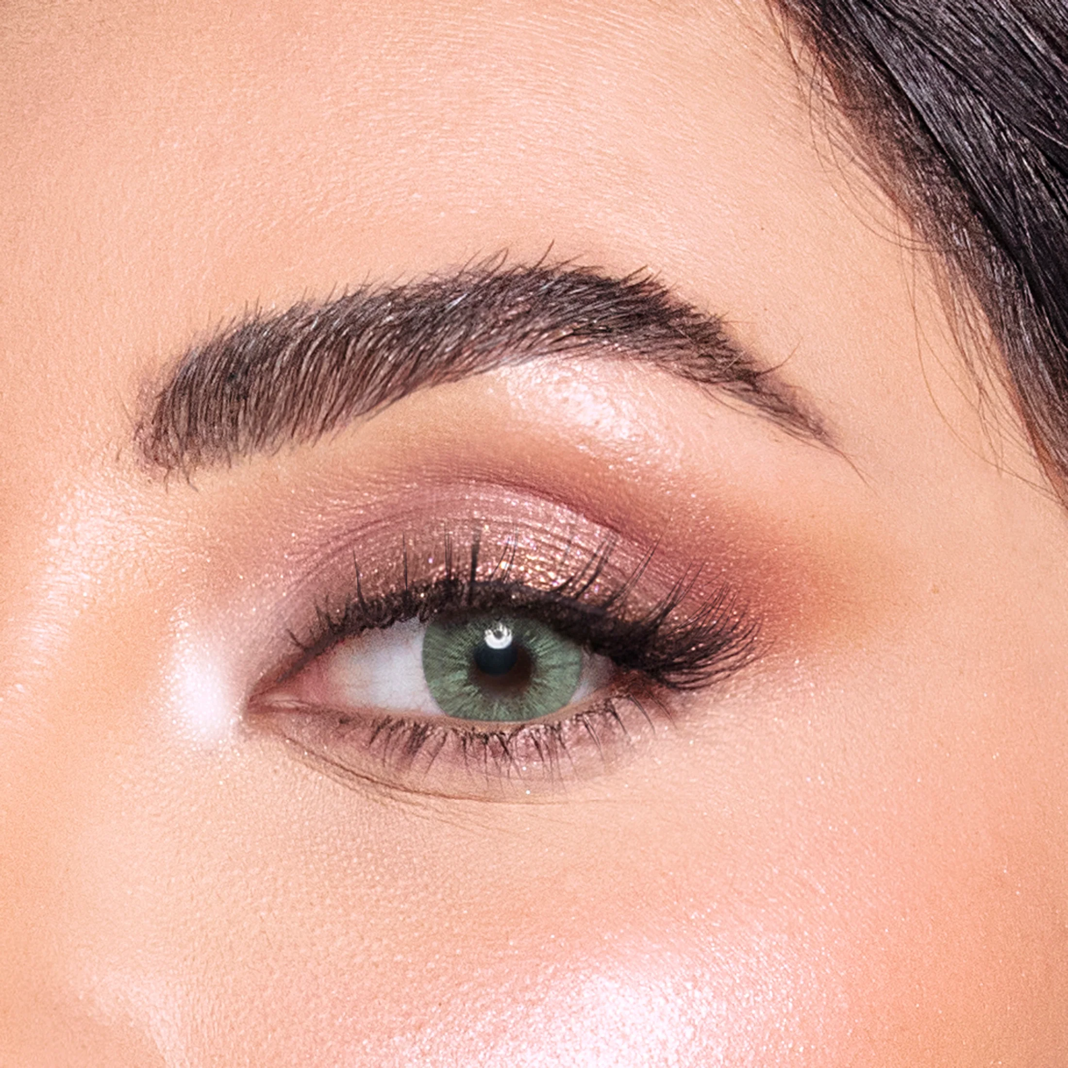 AMARA PANTHER EYE MONTHLY COLOR CONTACT LENSES – 2 PACK