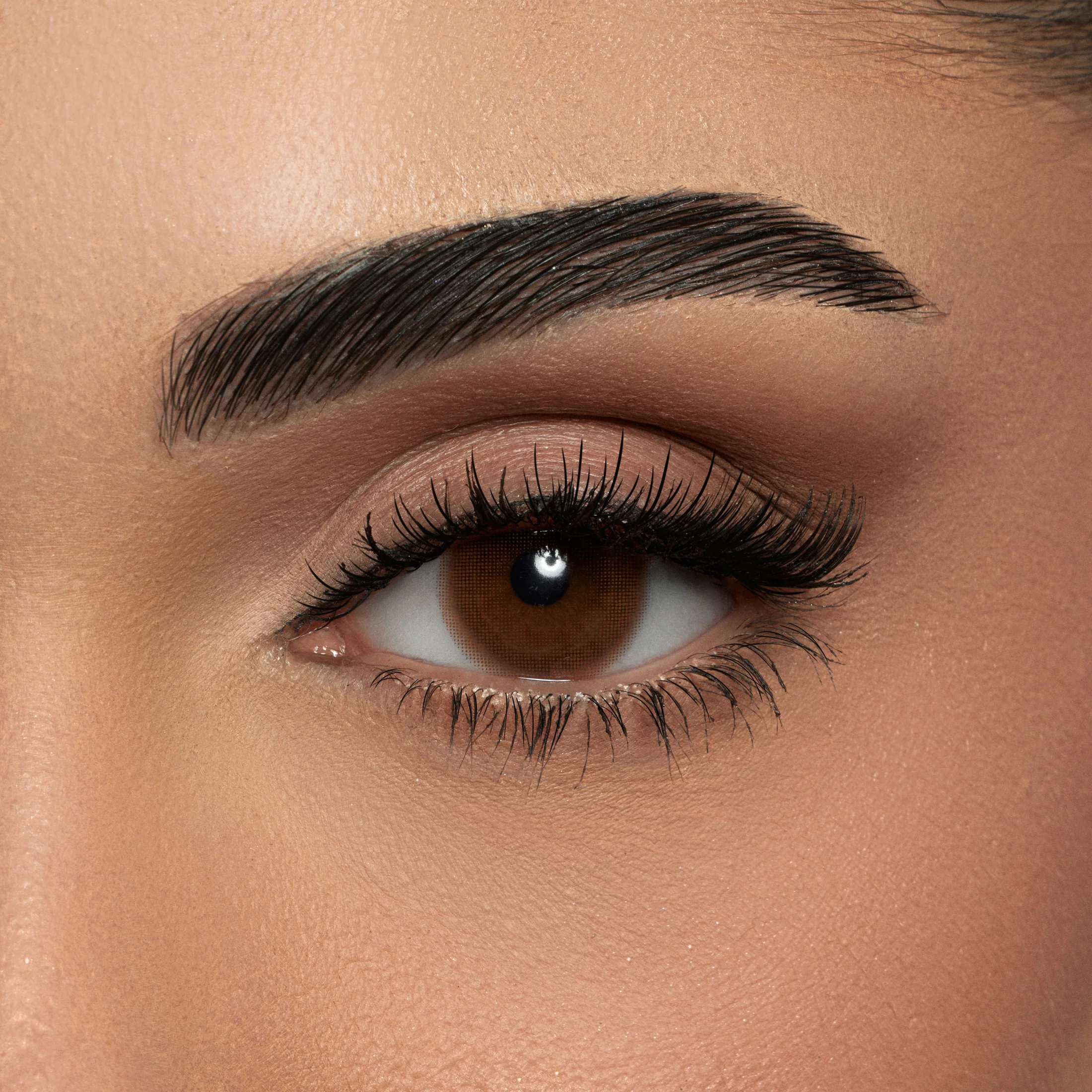 AMARA BISCUIT MONTHLY COLOR CONTACT LENSES – 2 PACK