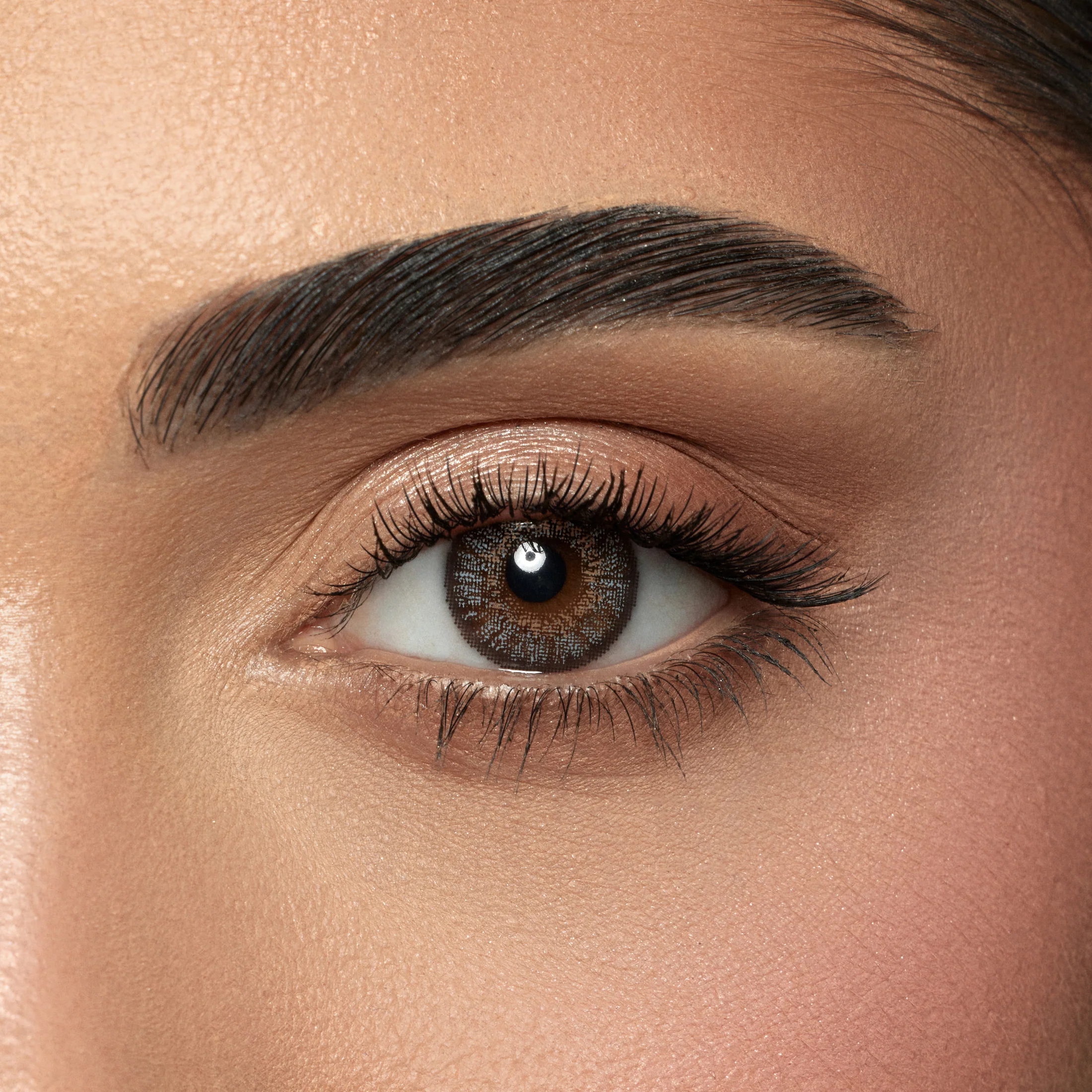 AMARA GRAY DAILY COLOR CONTACT LENSES – 10 PACK