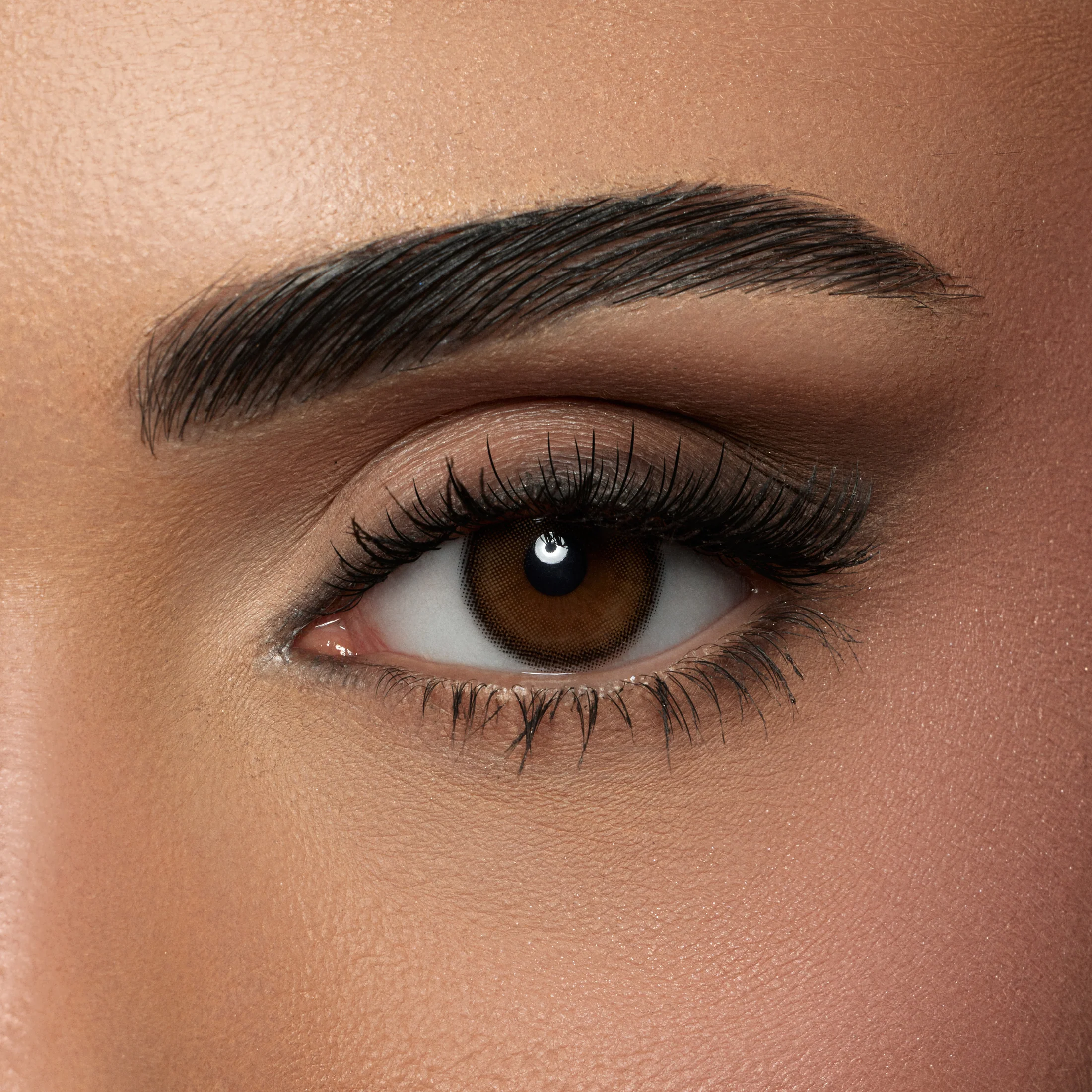 AMARA WALNUT MONTHLY COLOR CONTACT LENSES – 2 PACK