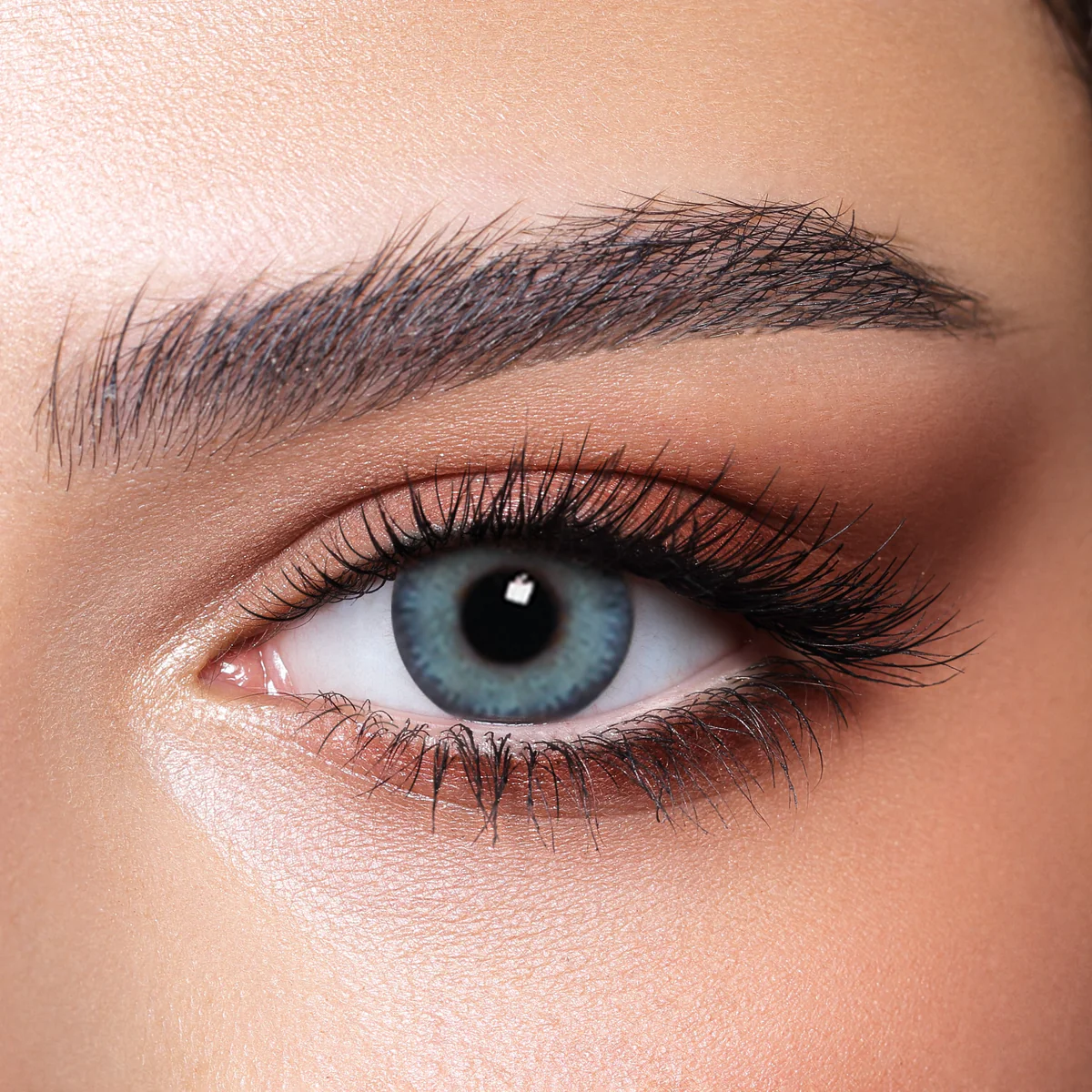 BELLA GLOW NAVY GRAY MONTHLY COLOR CONTACT LENSES - 2 PACK