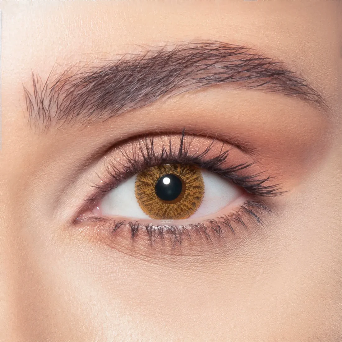 BELLA NATURAL COOL HAZEL MONTHLY COLOR CONTACT LENSES - 2 PACK 