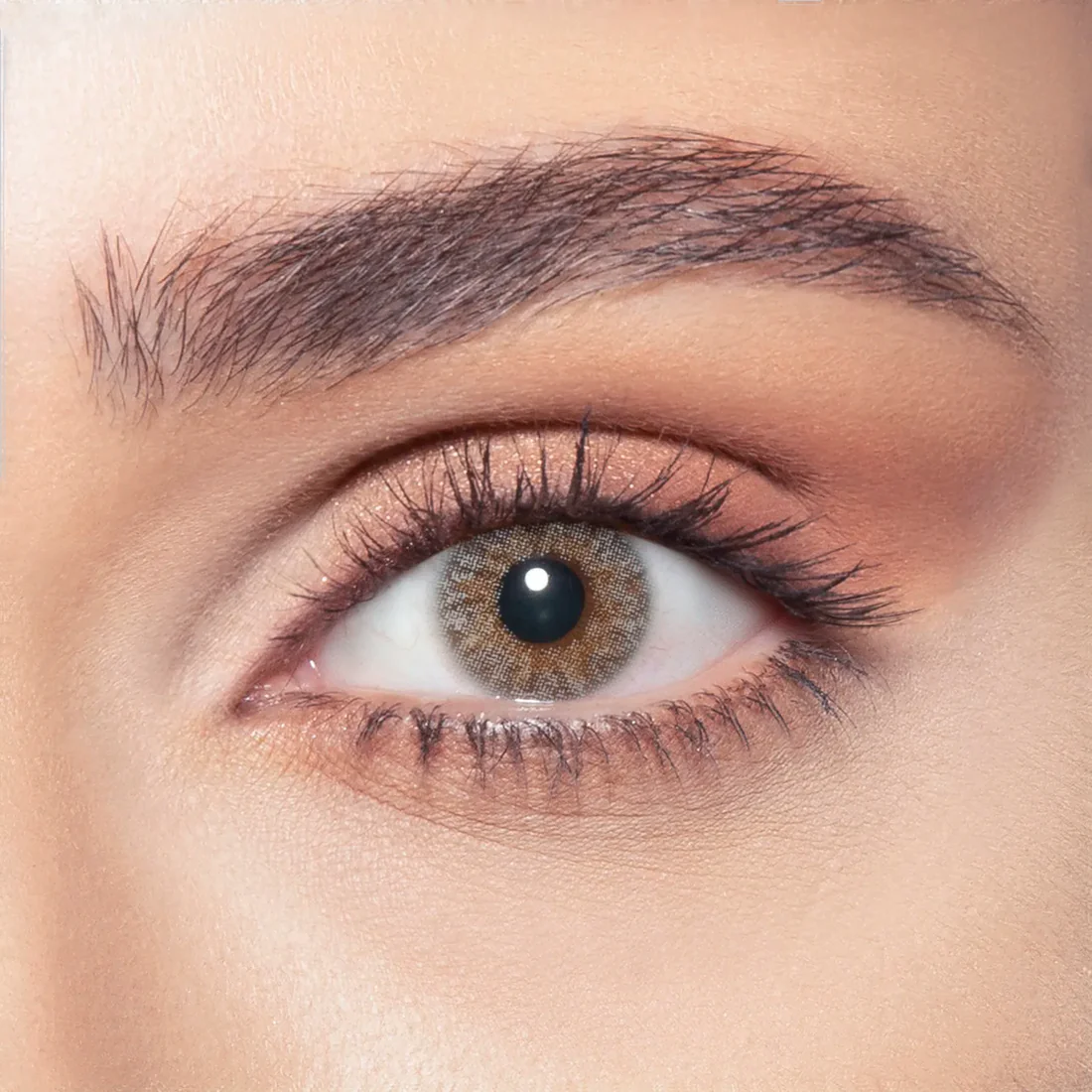 BELLA NATURAL GRAY MONTHLY COLOR CONTACT LENSES - 2 PACK