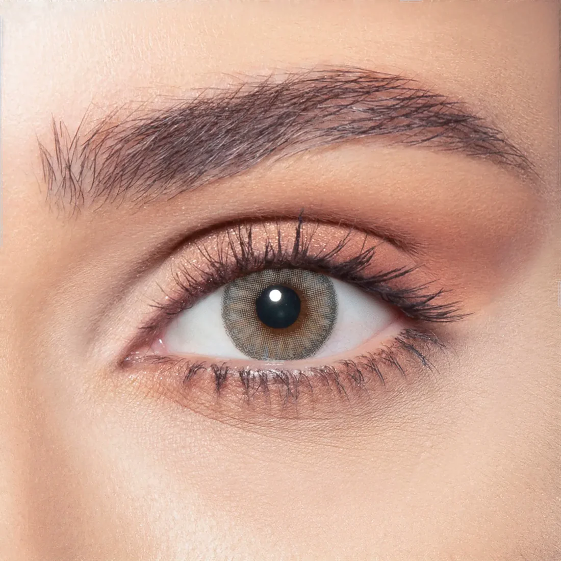 BELLA ONE DAY ROSEWOOD DAILY COLOR CONTACT LENSES - 2 PACK