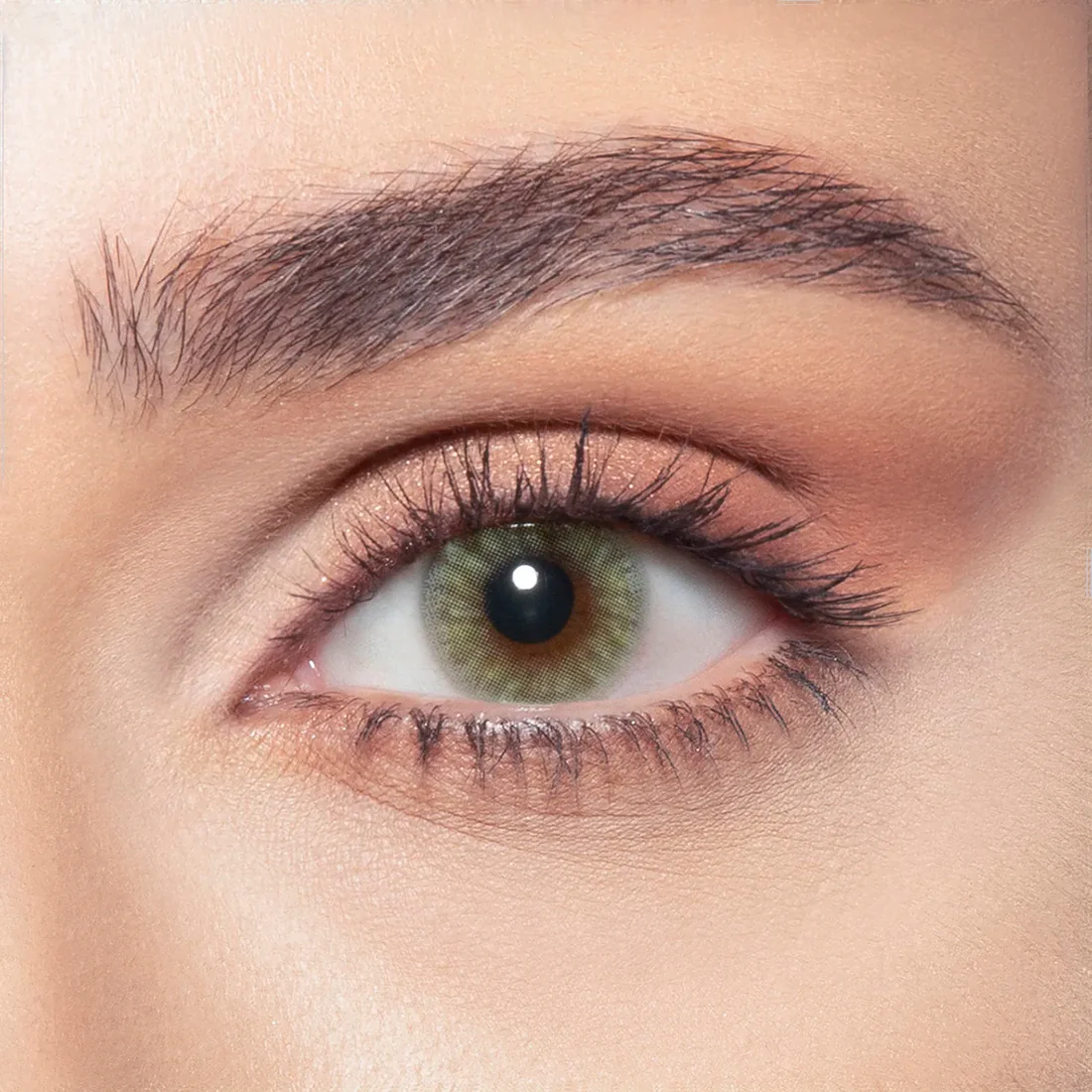 BELLA NEW DIAMOND JADE GREEN MONTHLY COLOR CONTACT LENSES - 2 PACK