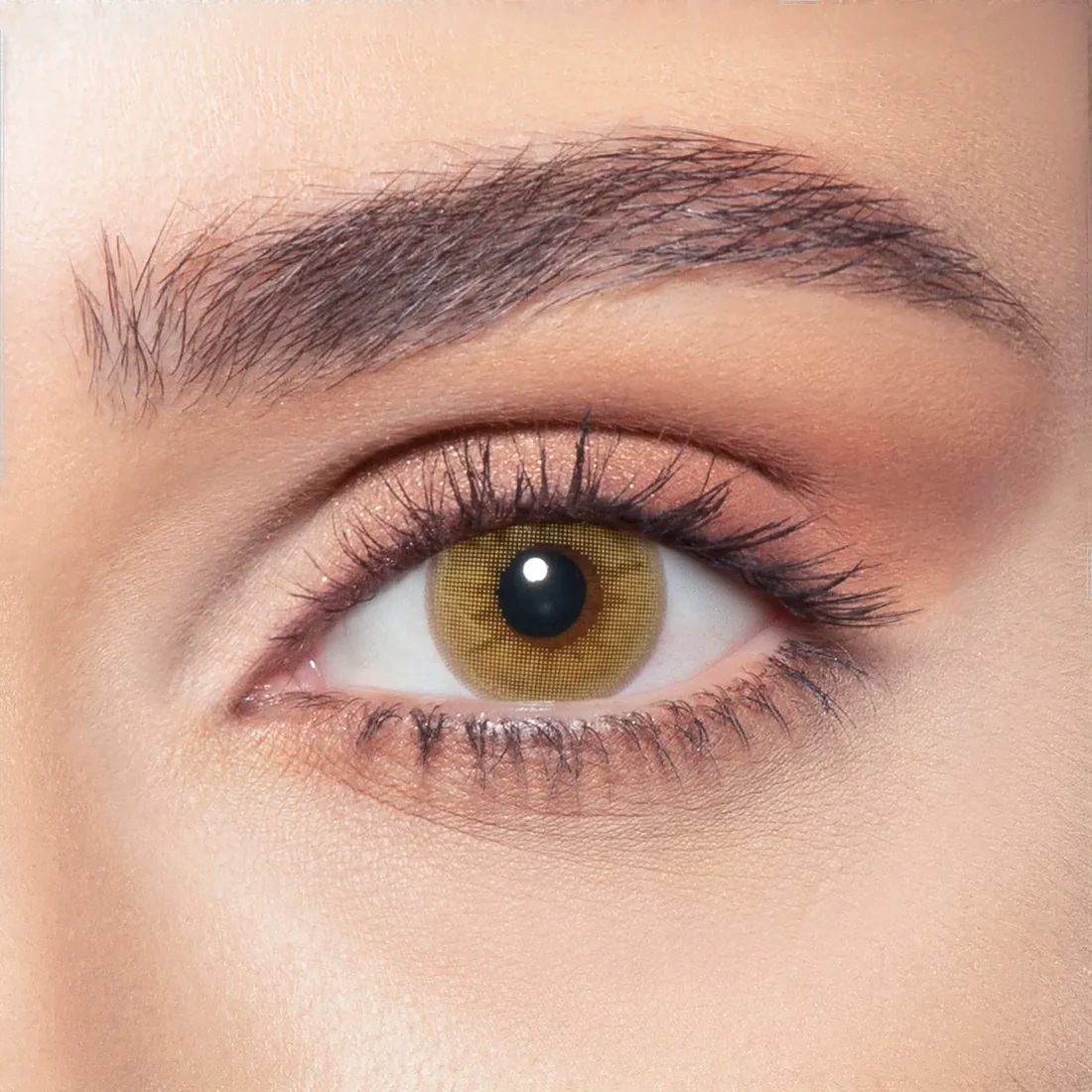 BELLA ONE DAY CITRINE CRYSTAL DAILY COLOR CONTACT LENSES - 2 PACK