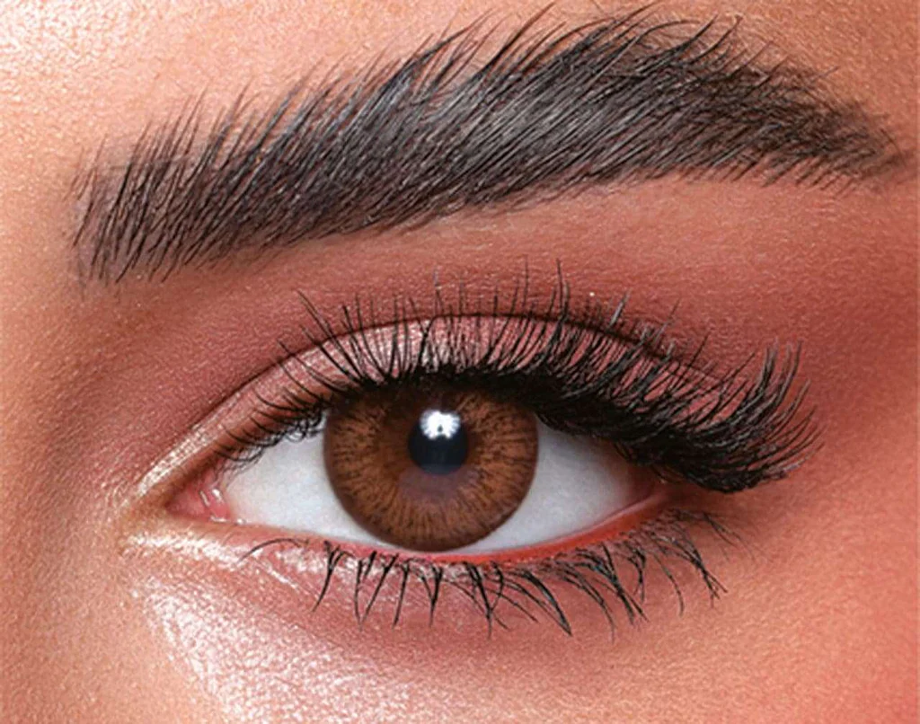 BELLA ELITE CINNAMON BROWN MONTHLY COLOR CONTACT LENSES - 2 PACK