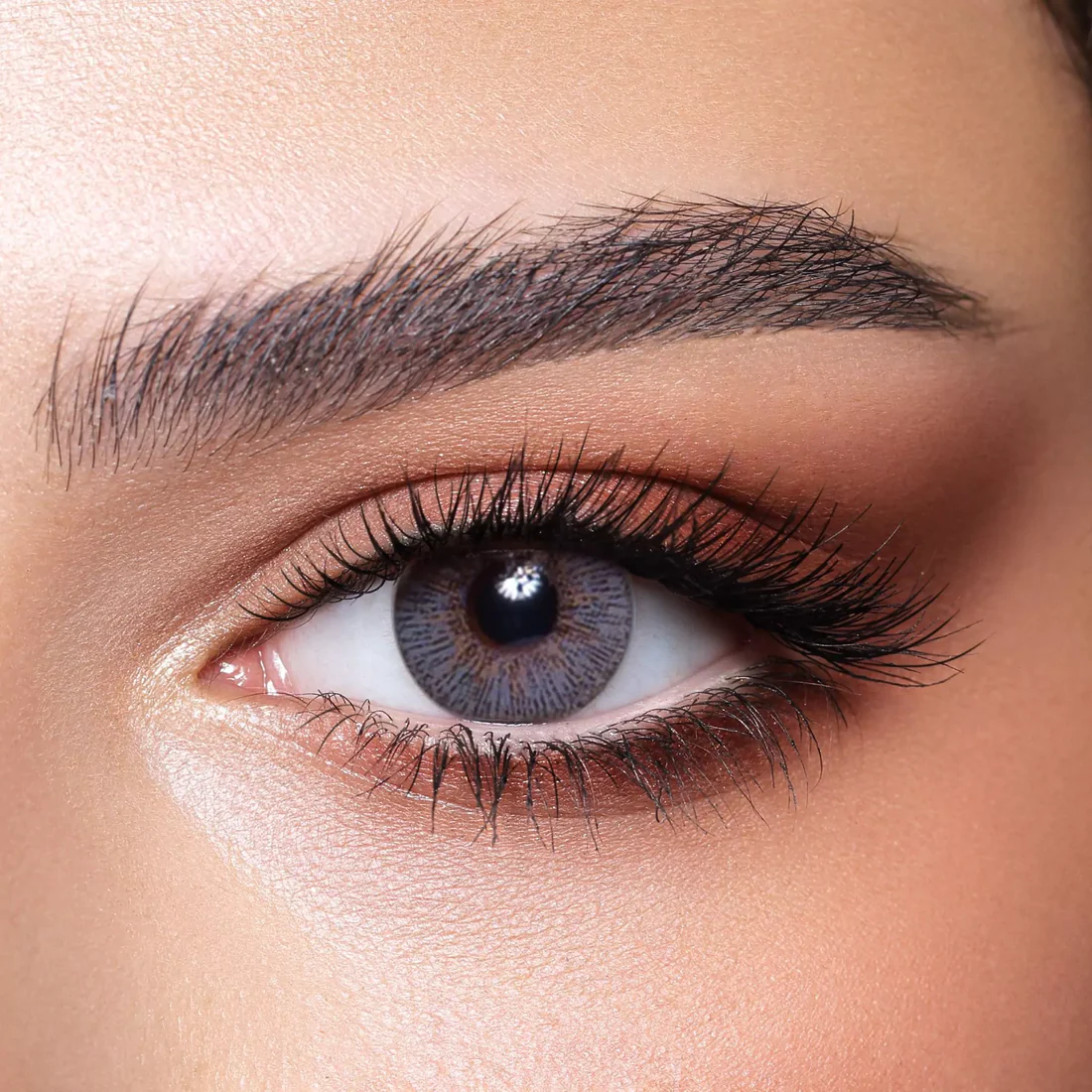 BELLA ELITE SILKY GRAY MONTHLY COLOR CONTACT LENSES - 2 PACK