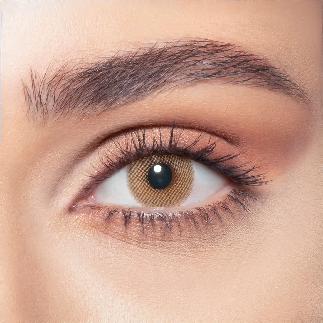 BELLA ELITE WILD HONEY MONTHLY COLOR CONTACT LENSES - 2 PACK