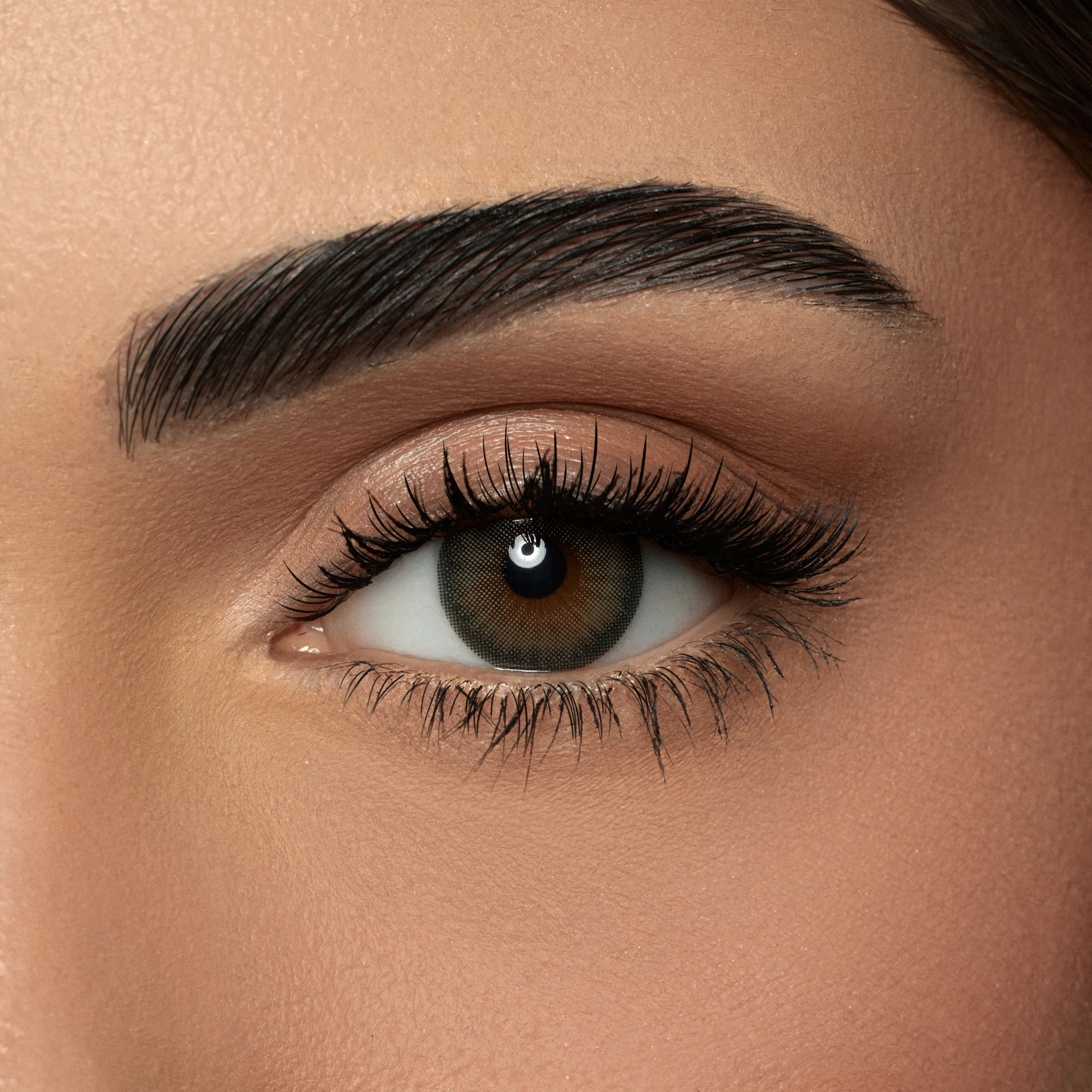 AMARA CROCODILE GREEN MONTHLY COLOR CONTACT LENSES – 2 PACK