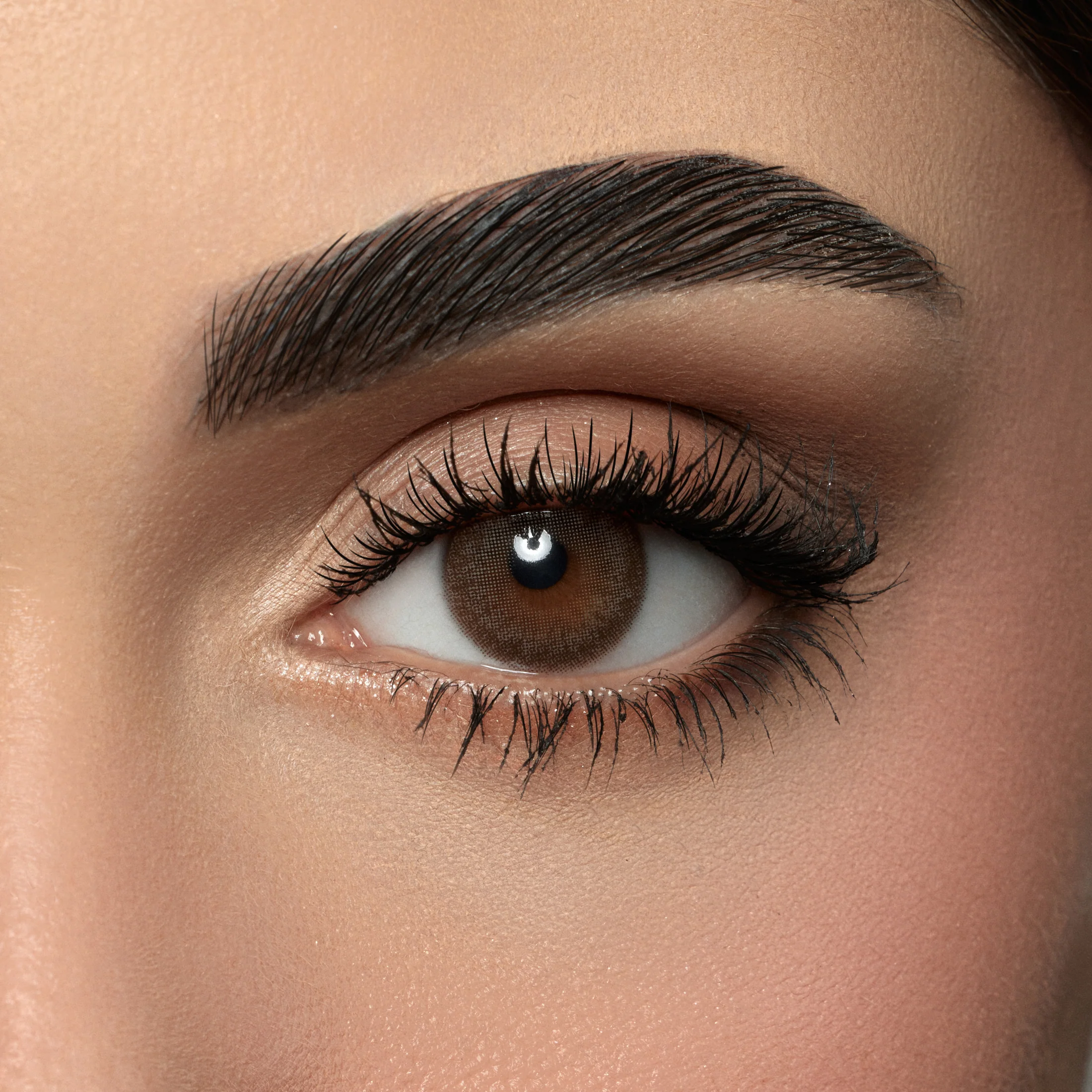 AMARA DARK SEPIA MONTHLY COLOR CONTACT LENSES – 2 PACK