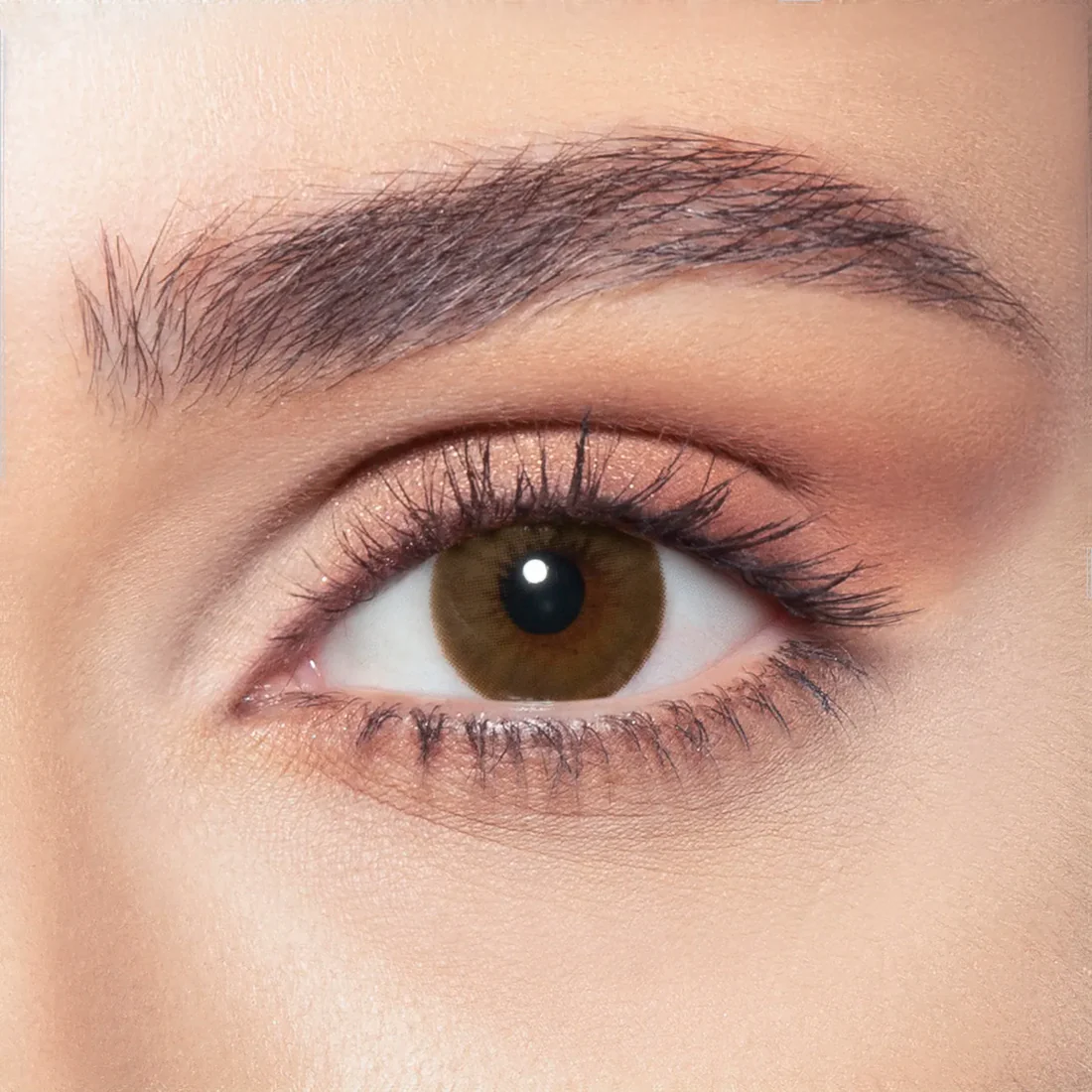 BELLA DIAMOND BROWN SHADOW MONTHLY COLOR CONTACT LENSES - 2 PACK