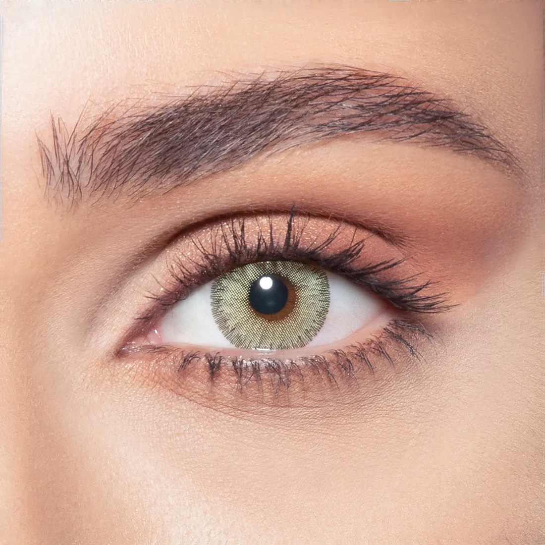 BELLA ELITE EMERALD GREEN MONTHLY COLOR CONTACT LENSES - 2 PACK