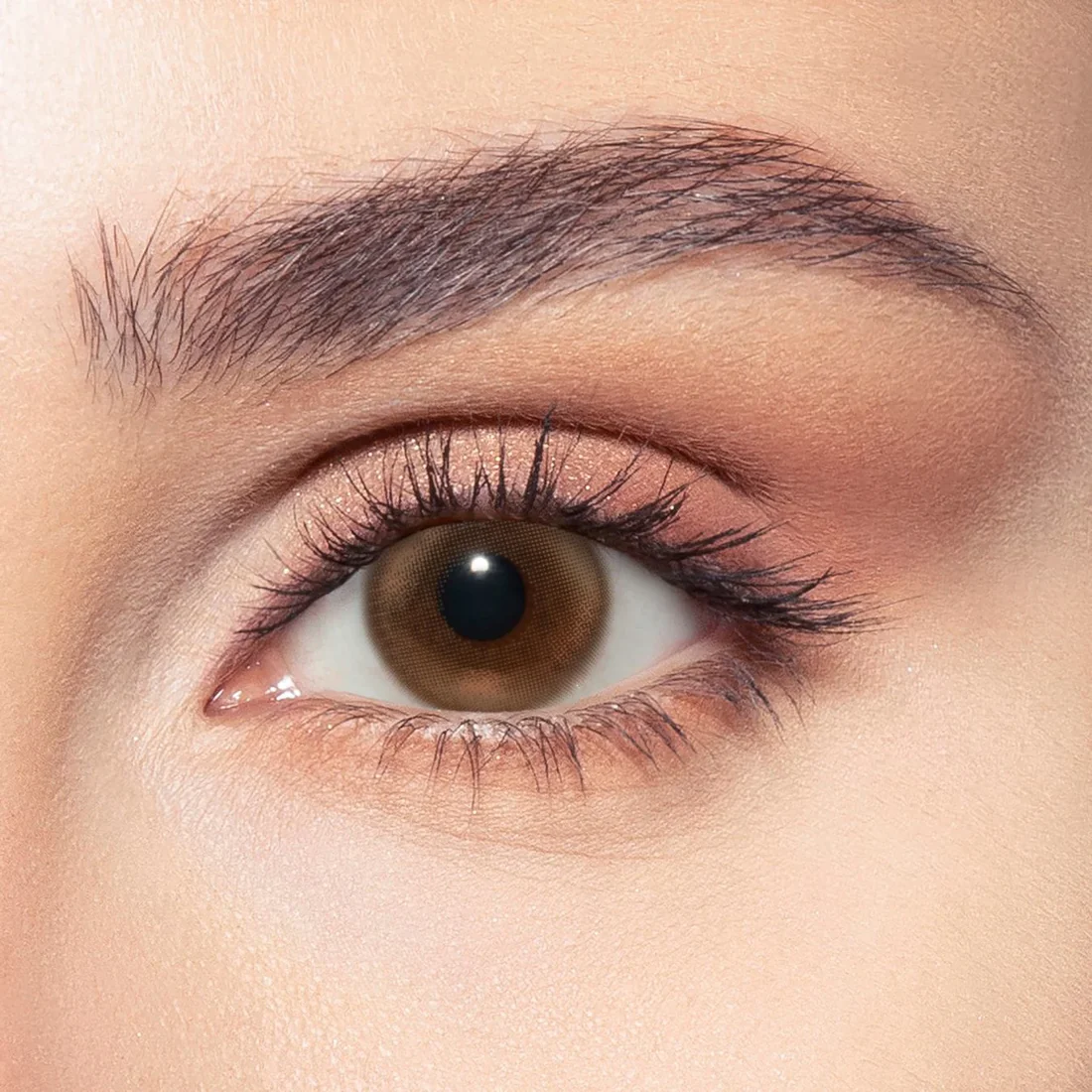 BELLA ONE DAY SIREN BRONZE DAILY COLOR CONTACT LENSES - 2 PACK